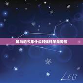 属马的今年什么时候怀孕是男孩，我属马今年什么时候怀孕是生女孩呢