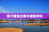男子属兔女属牛婚配好吗，属兔和属牛的相配吗