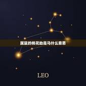 属鼠的桃花劫是马什么意思，属鼠和属马的合不合