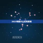 2023年属什么生肖属相，一家三口更好的属相