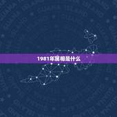 1981年属相是什么，1981年的属相是什么