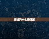 属猪的与什么属相相克，和猪相冲的属相有哪些？