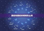 属蛇和属蛇的婚姻怎么样，两个属蛇的结婚相克吗