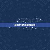 属羊1991年爱情运势，1991年属羊的人命运怎么样。