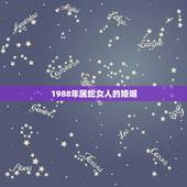1988年属蛇女人的婚姻，2022 年属蛇会遇到正缘吗