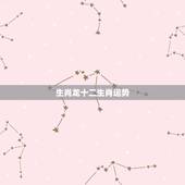 生肖龙十二生肖运势，关于十二生肖的运程中的龙属相的运程