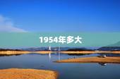 1954年多大，1954年属马能活多久