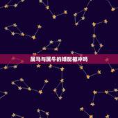 属马与属牛的婚配相冲吗，老公属马我属牛真的相冲吗？