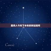 属鸡人今年下半年的财运如何，属鸡的今年下半年运势怎么样