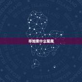 毕加索什么星座，这个是什么星座？