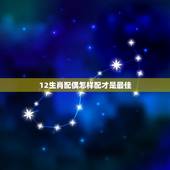 12生肖配偶怎样配才是最佳，十二生肖最佳配偶
