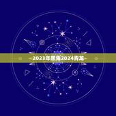 2023年黑兔2024青龙，黑兔走入青龙2023年