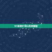 91年和91年2月羊婚配，91年男羊和91年女羊相配吗