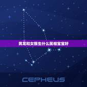 男龙和女猴生什么属相宝宝好，属猴的父母适宜生什么属相的孩子