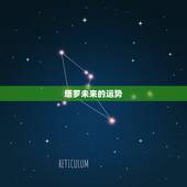 塔罗未来的运势，有塔罗牌（我的是花影塔罗）的人请告诉我塔罗牌的各种占卜