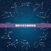 属蛇今天打麻将财运，属蛇人今日打麻将方位