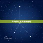 牛与什么生肖婚配好吗，生肖牛的人与生肖猴的人婚配好吗