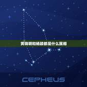 黄晓明和杨颖都是什么属相，angelababy属什么生肖