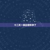 十二天一条杠但怀孕了，排卵日同房到今天第十一天验孕棒测一条杠，第十二天