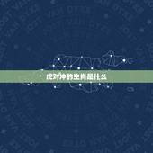 虎对冲的生肖是什么，日历生肖相冲查询表