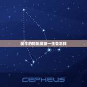 属牛的婚配属猪一生会怎样，属猪的和属牛的配么