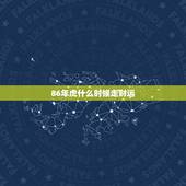 86年虎什么时候走财运，86属虎一生几次财运