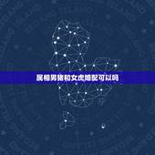 属相男猪和女虎婚配可以吗，属虎和属猪的相配吗