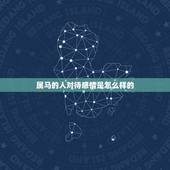属马的人对待感情是怎么样的，属马的男人对待感情