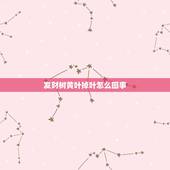 发财树黄叶掉叶怎么回事，发财树的叶子发黄，掉叶子怎么办