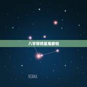八字带将星鬼都怕，命带将星，往来无白丁，时有官鬼小人，捣乱纷纷.什么意