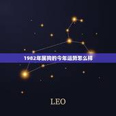 1982年属狗的今年运势怎么样，1982年属狗人2022 年11月运势