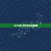 1975年1月8日出生属相，阳历1975年1月8农历是什么日期