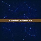 客厅摆放什么植物好看又好养，有哪些植物养在家中寓意好而且又好看？