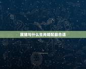 属猪与什么生肖婚配最合适，十二生肖属猪配什么属相好