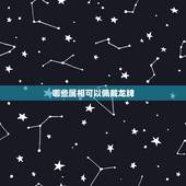 哪些属相可以佩戴龙牌，属龙的人能佩戴龙牌吗