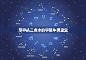 草字头三点水的字属牛男宝宝，带草字头的牛宝宝怎样取名？