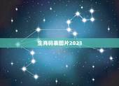 生肖码表图片2021，2021年1月1日是什么生肖日