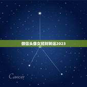 微信头像女招财转运2023，2021女人转运聚财微信名字