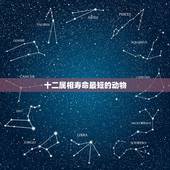 十二属相寿命最短的动物，十二生肖中。什么动物的寿命最短