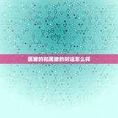 属猪的和属猪的财运怎么样，属鸡的财运分析风格