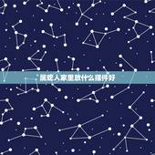 属蛇人家里放什么摆件好，属蛇人的风水摆件