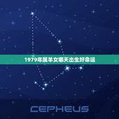 1979年属羊女哪天出生好命运，1979年属羊人一生命运