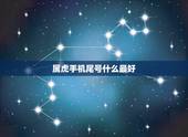 属虎手机尾号什么最好，1974年属虎的人最好的手机号尾数是什么？