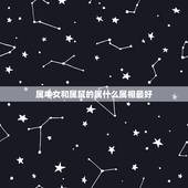 属牛女和属鼠的属什么属相最好，属龙的和什么属相最配和什么不配
