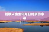 属猴人出生年月日时辰的命运，老黄历吉日查询2022 年