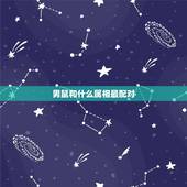 男鼠和什么属相最配对，男生属鼠和什么属相配