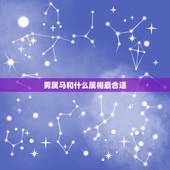 男属马和什么属相最合适，马配对的属相婚配表