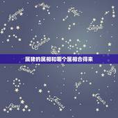 属猪的属相和哪个属相合得来，猪和哪个属相合财