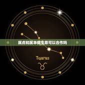 属虎和属羊做生意可以合作吗，属虎人和属羊人合作好吗