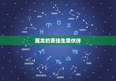 属龙的更佳生意伙伴，属龙女人适合做生意吗